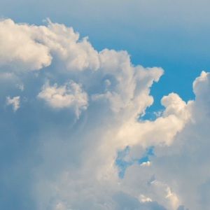 Meet your Posher, Ella